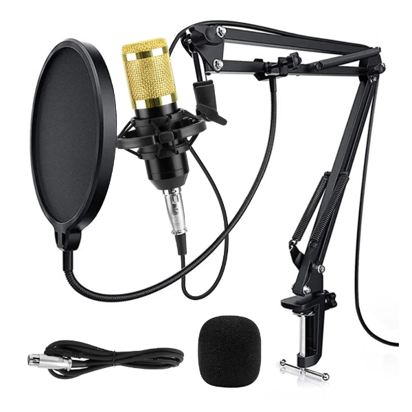 Kit de microfono profesional + Filtro